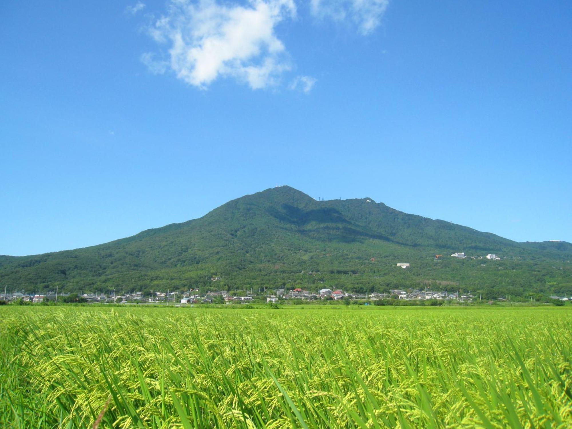 Hotel Jal City Tsukuba Zewnętrze zdjęcie